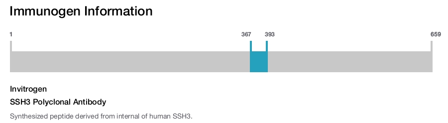 SSH3 Polyclonal Antibody