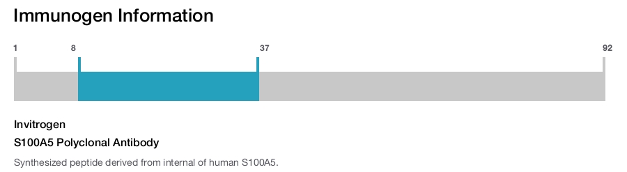 S100A5 Polyclonal Antibody