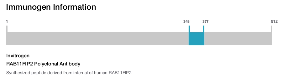RAB11FIP2 Polyclonal Antibody