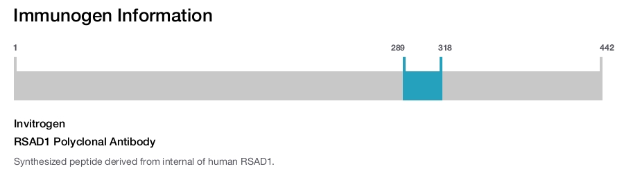 RSAD1 Polyclonal Antibody