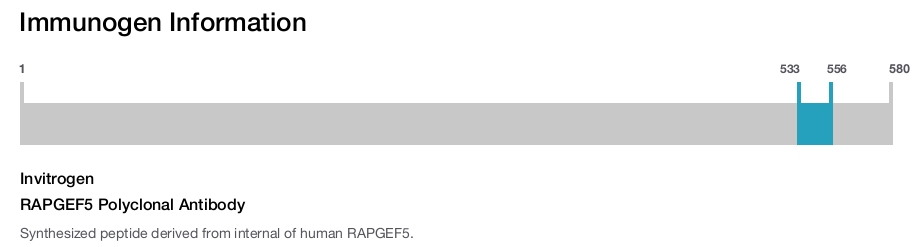 RAPGEF5 Polyclonal Antibody