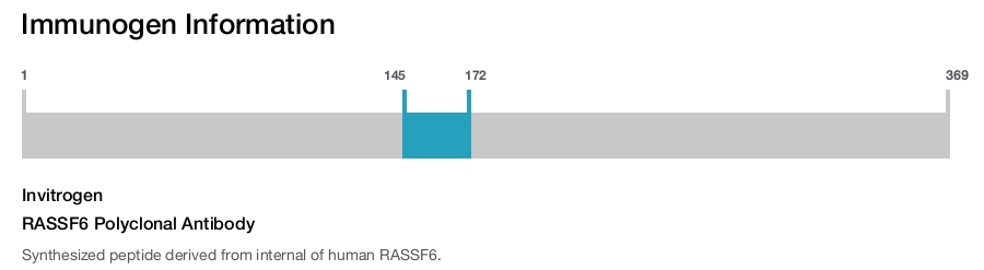 RASSF6 Polyclonal Antibody