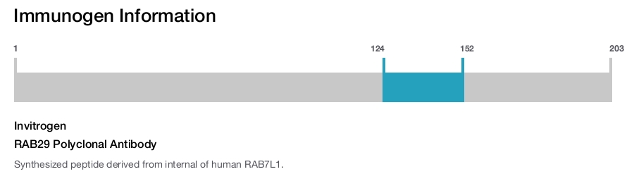RAB29 Polyclonal Antibody