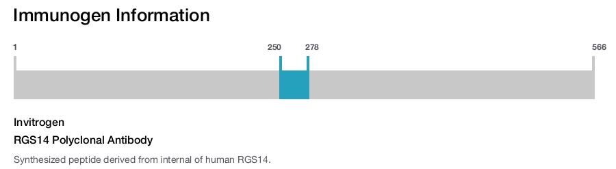 RGS14 Polyclonal Antibody