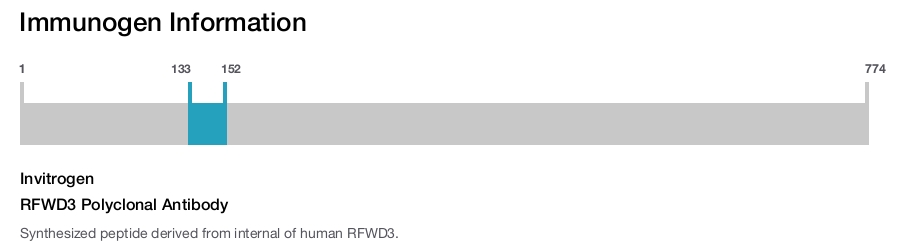 RFWD3 Polyclonal Antibody