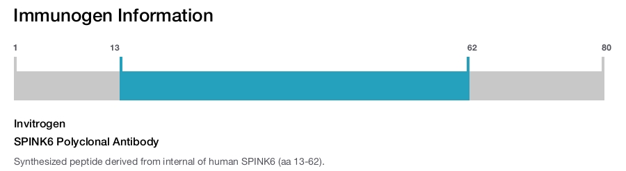 SPINK6 Polyclonal Antibody