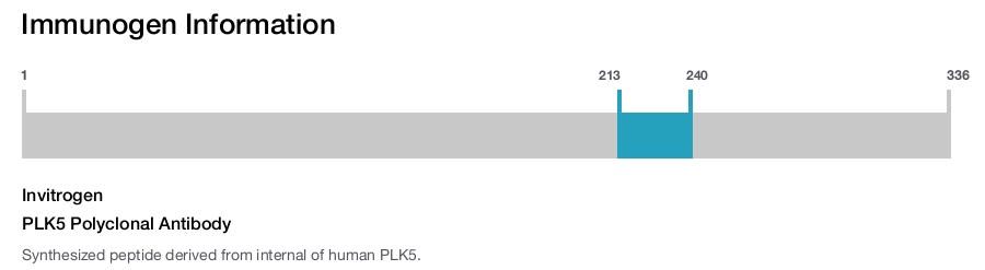 PLK5 Polyclonal Antibody