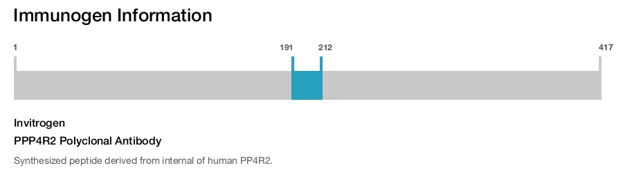 PPP4R2 Polyclonal Antibody