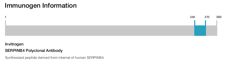 SERPINB4 Polyclonal Antibody