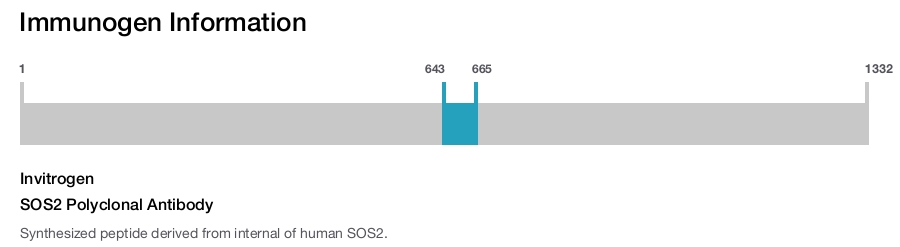 SOS2 Polyclonal Antibody