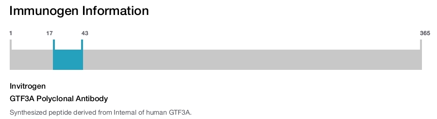 GTF3A Polyclonal Antibody