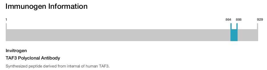 TAF3 Polyclonal Antibody