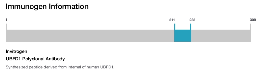 UBFD1 Polyclonal Antibody