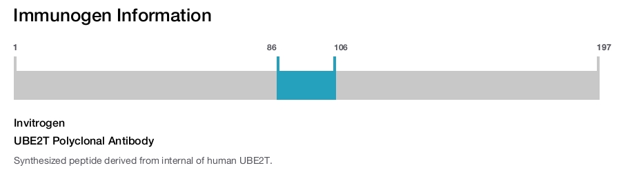 UBE2T Polyclonal Antibody
