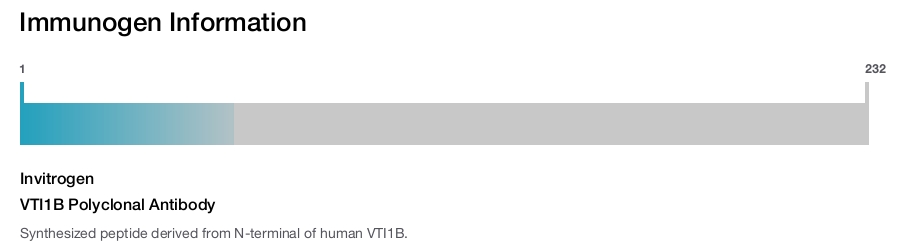 VTI1B Polyclonal Antibody