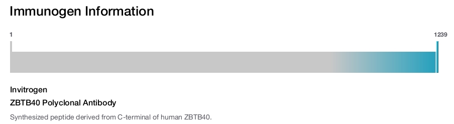 ZBTB40 Polyclonal Antibody