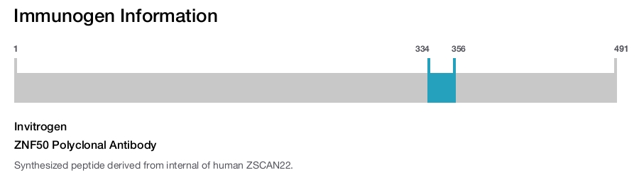 ZNF50 Polyclonal Antibody