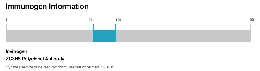 ZC3H8 Polyclonal Antibody
