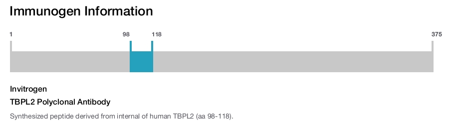 TBPL2 Polyclonal Antibody