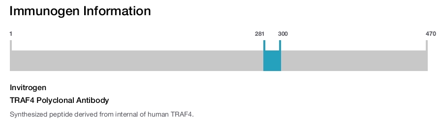 TRAF4 Polyclonal Antibody