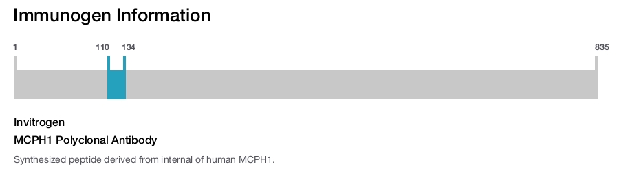 MCPH1 Polyclonal Antibody