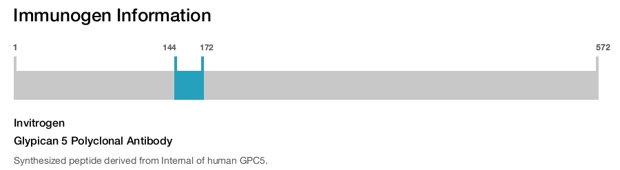 Glypican 5 Polyclonal Antibody