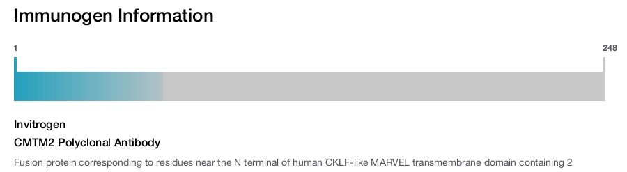 CMTM2 Polyclonal Antibody