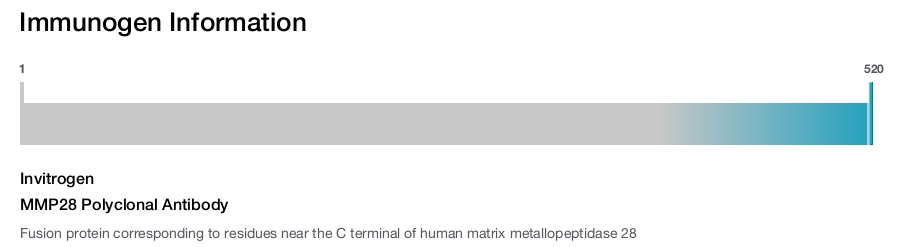 MMP28 Polyclonal Antibody