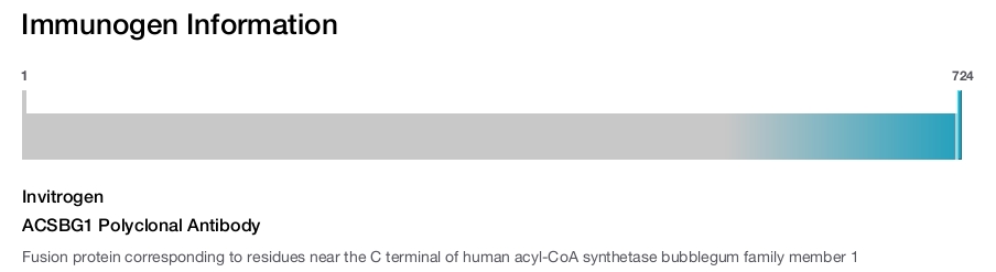 ACSBG1 Polyclonal Antibody