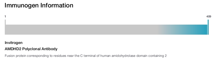 AMDHD2 Polyclonal Antibody