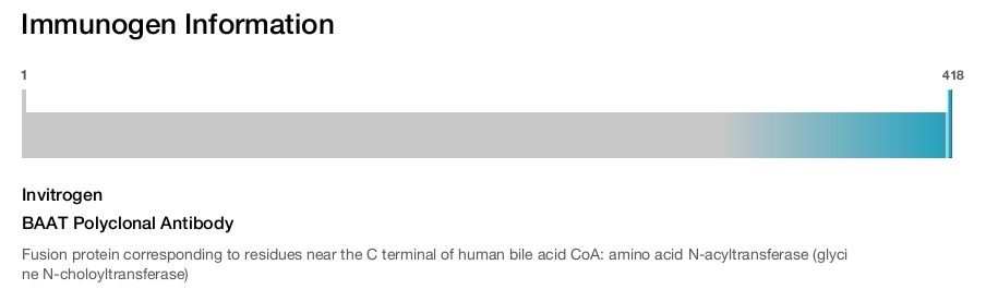 BAAT Polyclonal Antibody