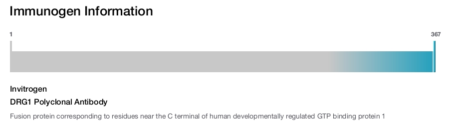DRG1 Polyclonal Antibody