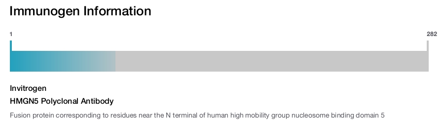 HMGN5 Polyclonal Antibody
