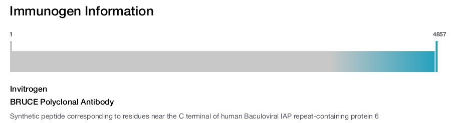 BRUCE Polyclonal Antibody