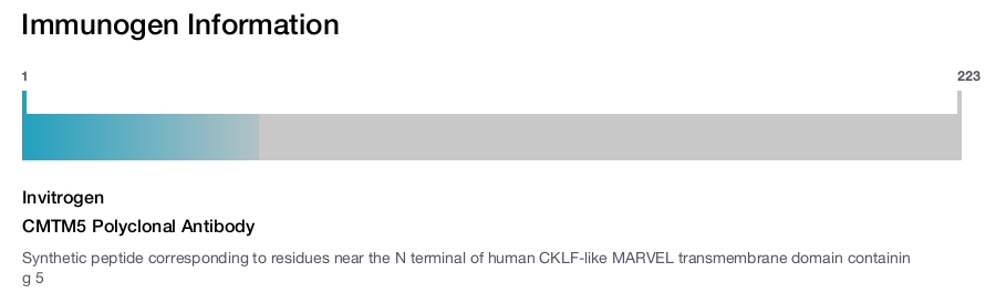 CMTM5 Polyclonal Antibody