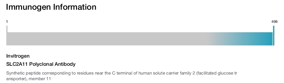 SLC2A11 Polyclonal Antibody