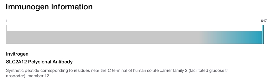 SLC2A12 Polyclonal Antibody