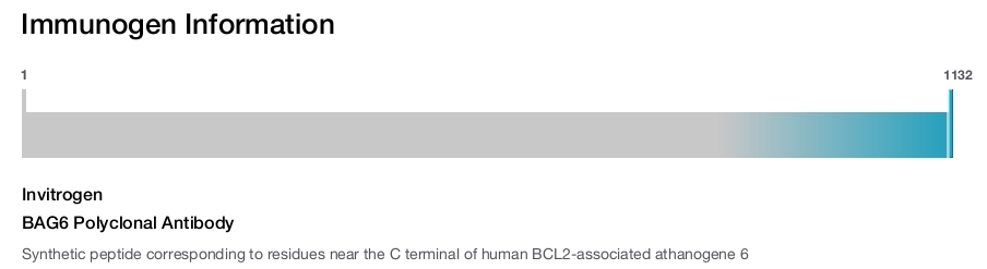 BAG6 Polyclonal Antibody
