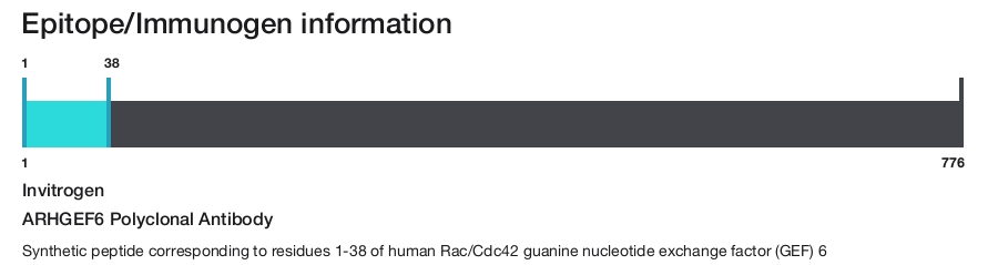 ARHGEF6 Polyclonal Antibody