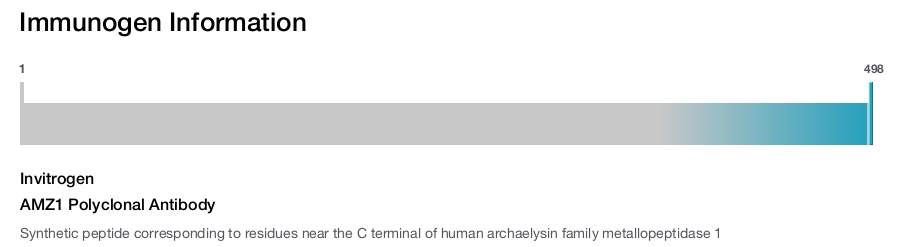 AMZ1 Polyclonal Antibody