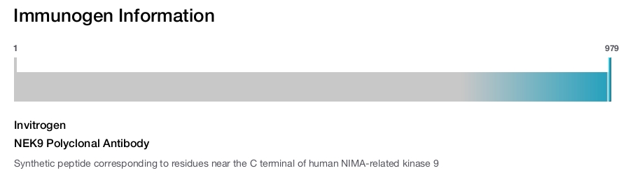 NEK9 Polyclonal Antibody