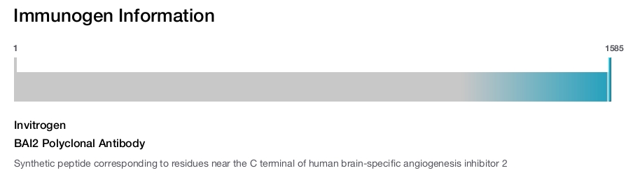 BAI2 Polyclonal Antibody