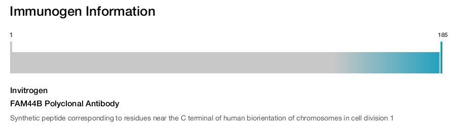 FAM44B Polyclonal Antibody