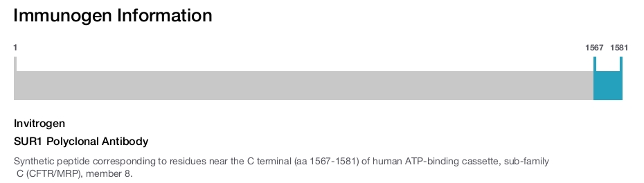 SUR1 Polyclonal Antibody