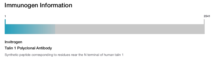 Talin 1 Polyclonal Antibody