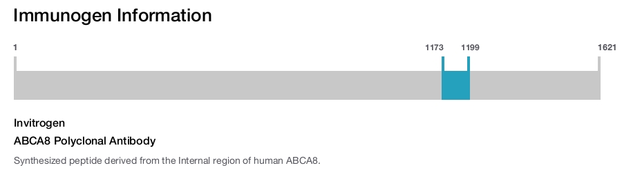 ABCA8 Polyclonal Antibody