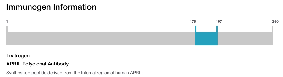 APRIL Polyclonal Antibody