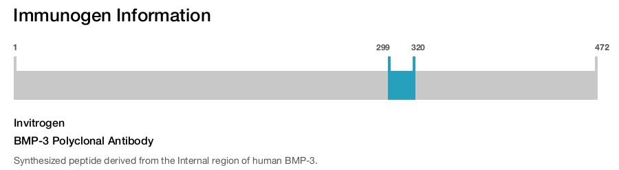 BMP-3 Polyclonal Antibody