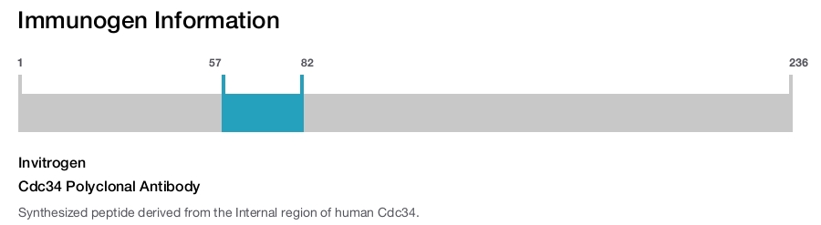 Cdc34 Polyclonal Antibody