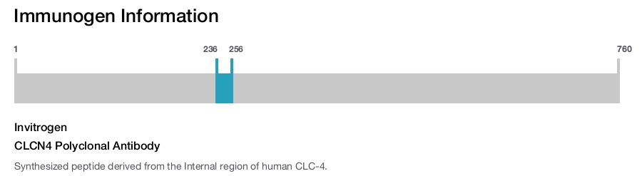 CLCN4 Polyclonal Antibody